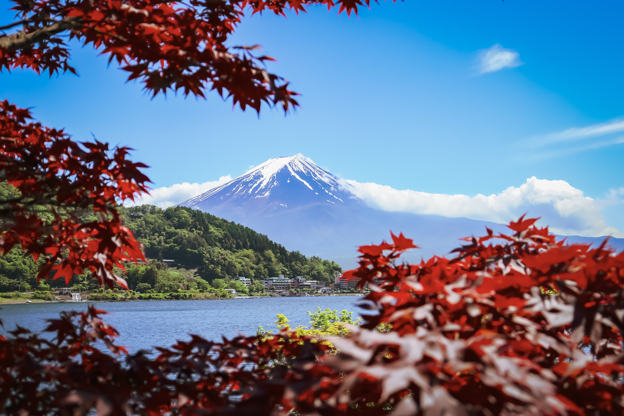 Featured image for “Japan, I miss you…”